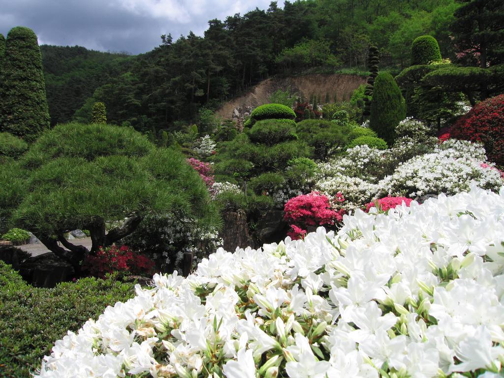 桃山旅馆 松本